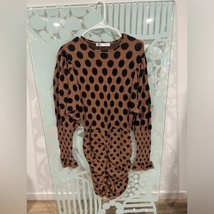 Zara Polka Dot Dress